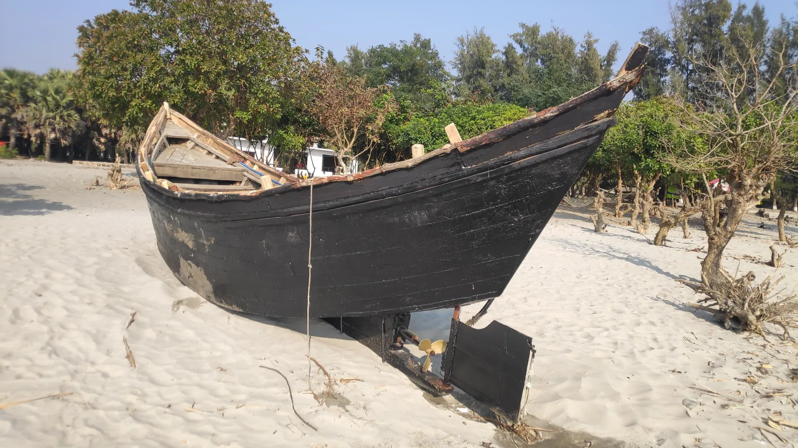 The working coast