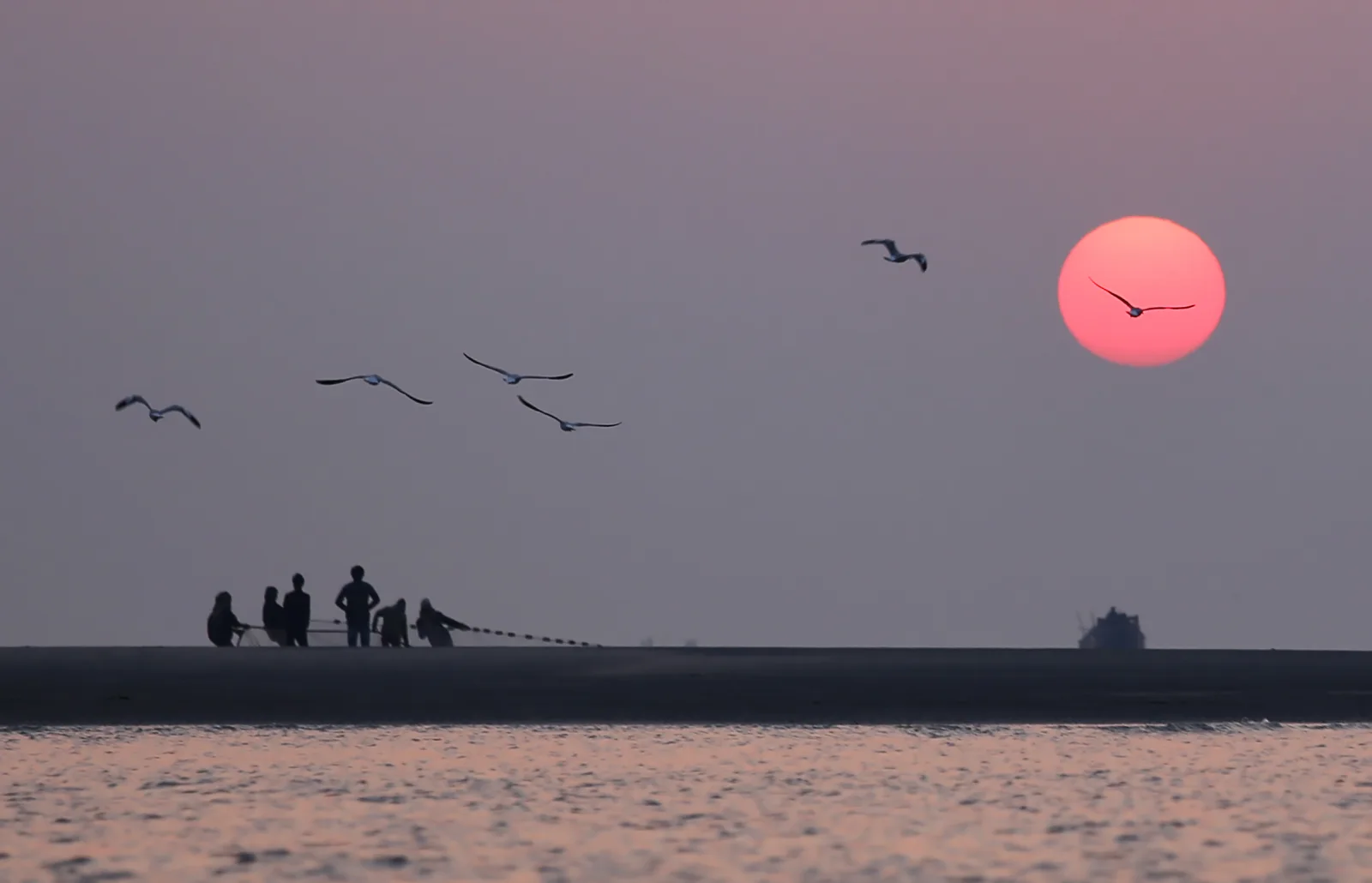 Morning birds, Kuakata