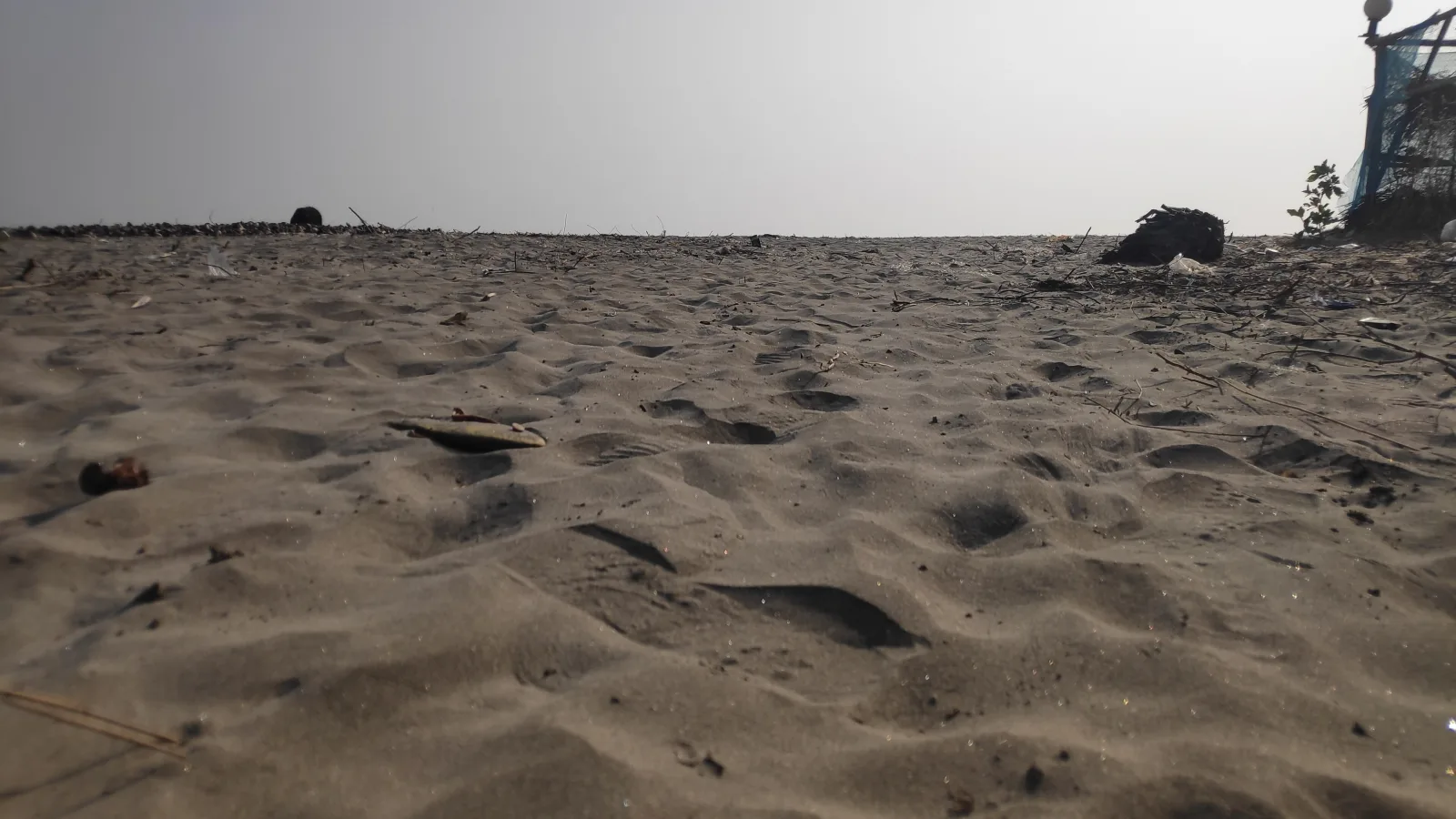 Open shoreline