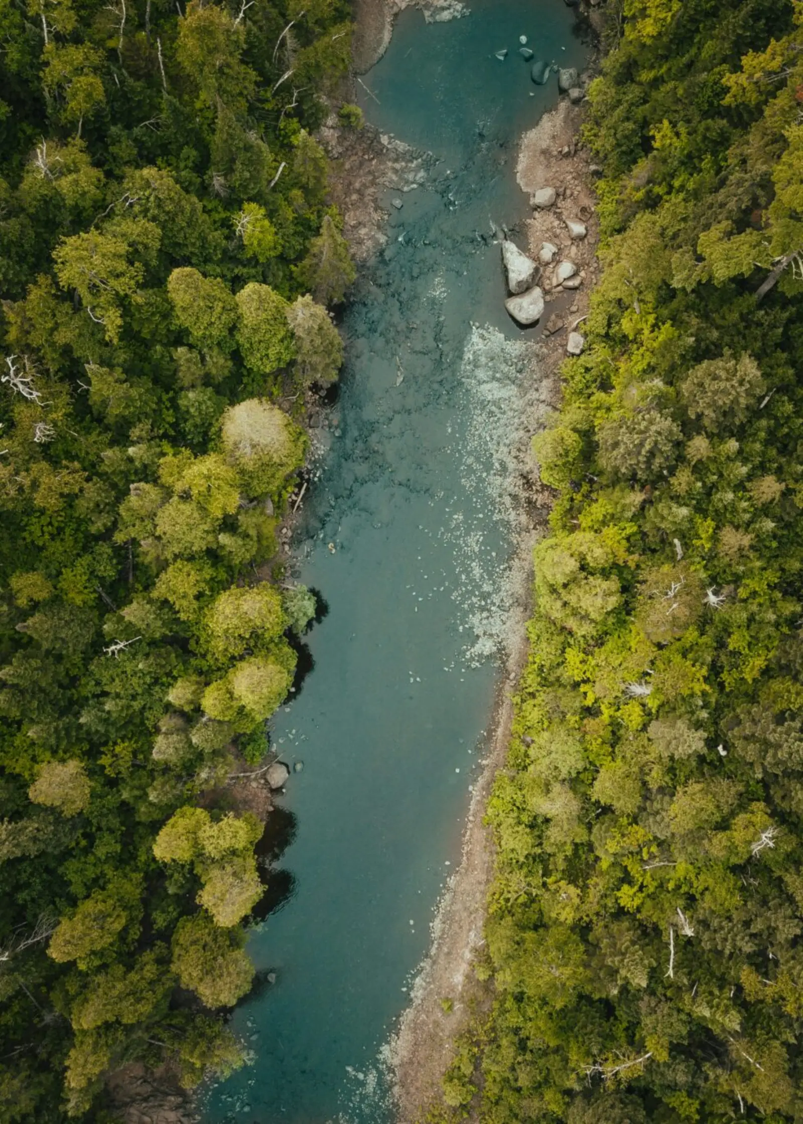Eco